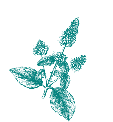 apron-sticker